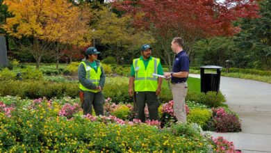 Commercial Landscaping Services