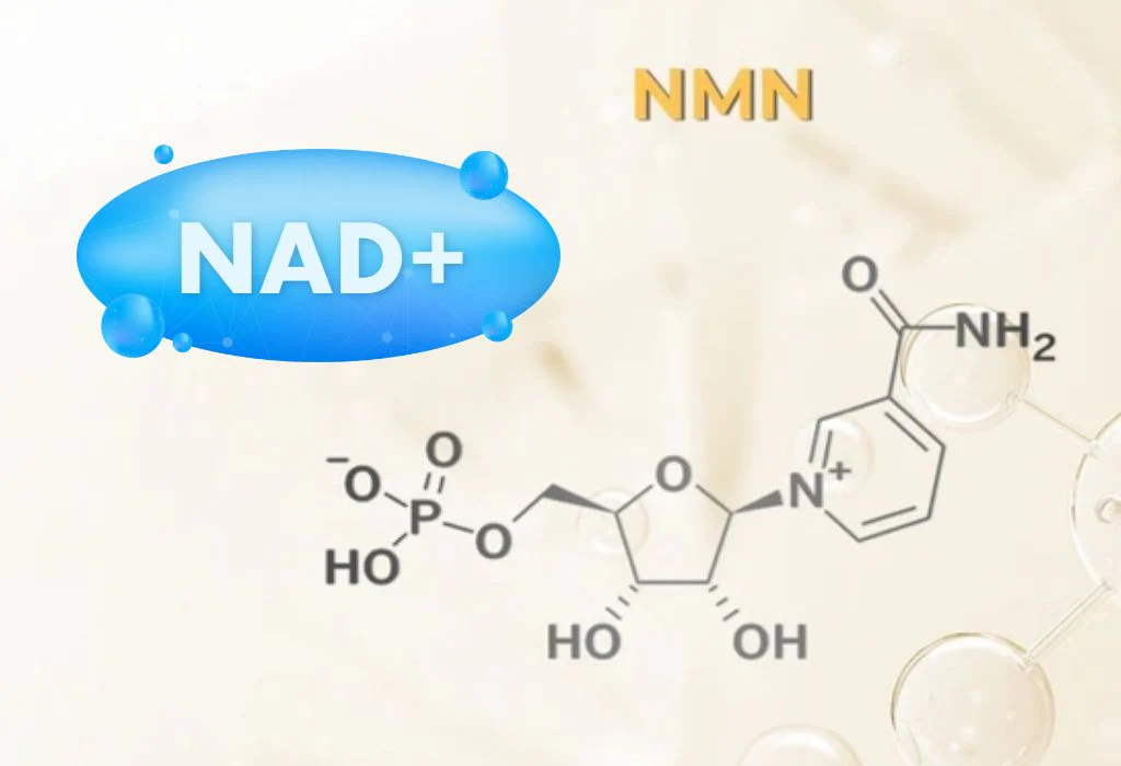 NAD vs NMN