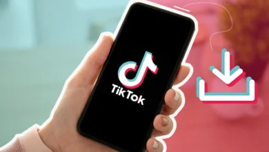 Best TikTok Downloaders