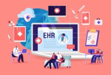 EHR Interface Development