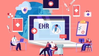 EHR Interface Development