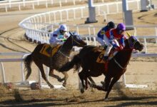 Kentucky Derby Betting