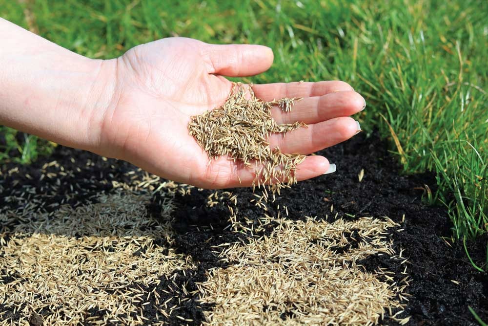 Overseeding