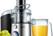 Masticating Juicer