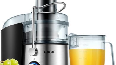 Masticating Juicer