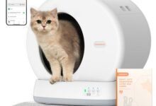 Smart Self Cleaning Litter Boxes