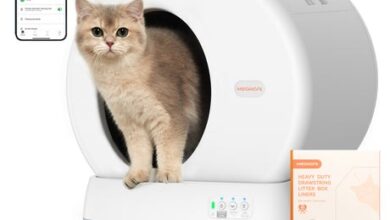 Smart Self Cleaning Litter Boxes