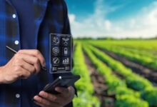 Agriculture Custom Software Development