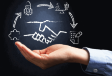 Interim Sales Director Playbook