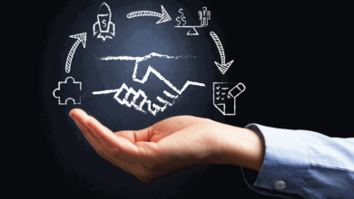 Interim Sales Director Playbook