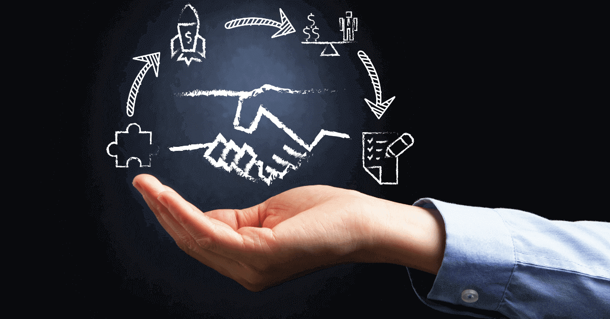 Interim Sales Director Playbook