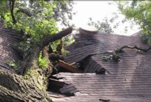 Storm Damage Repair