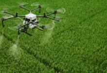 Drone Spraying Pesticides