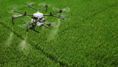Drone Spraying Pesticides