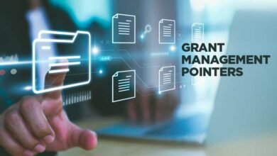 Grant Strategy Consultant
