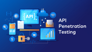API Pentest Services